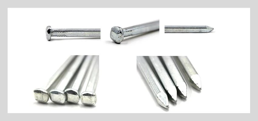 Square Boat Iron Nails type