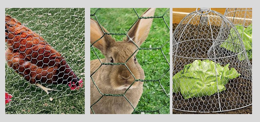 Chicken Wire Mesh application