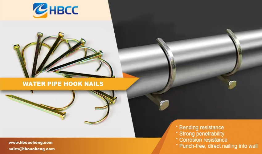 Advantage Water Pipe Hook Nails