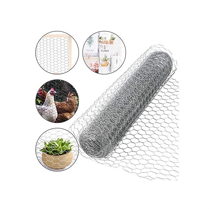Chicken Wire Mesh