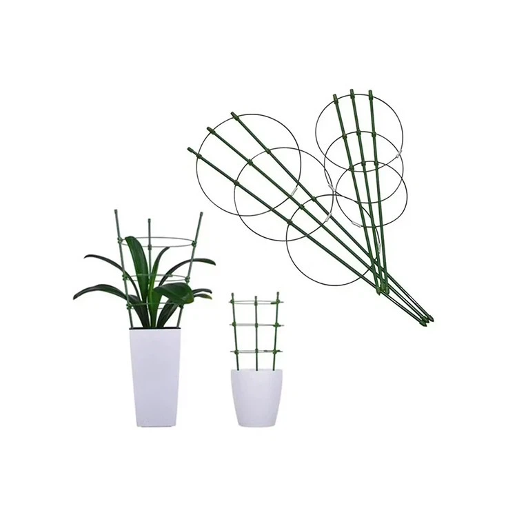 Lillerõngaste taimede tugitootjad