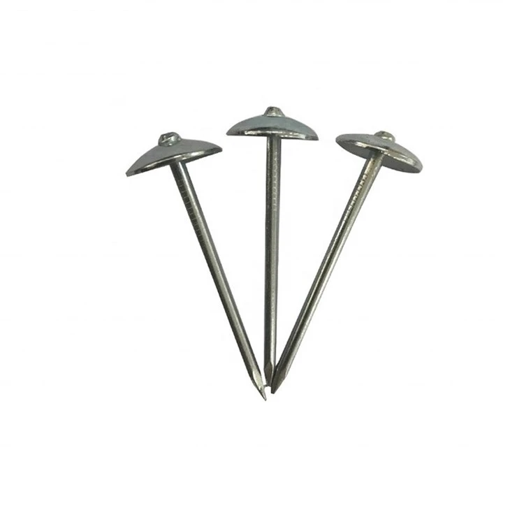 Zinc Plate Umbrella Head Roofing Nails