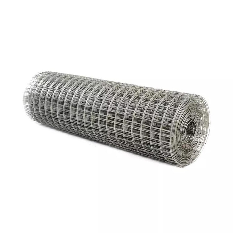 Welded Wire Mesh