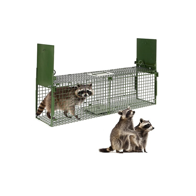 Live Animal Trap