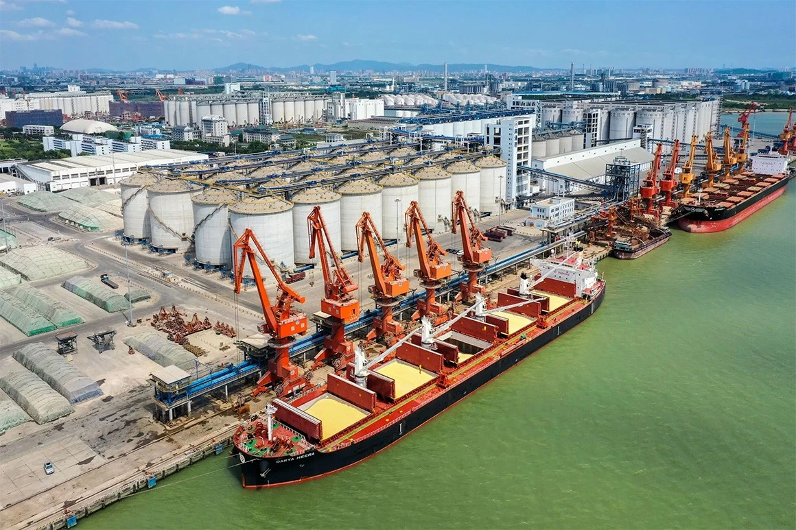 Shipping Line-1 Shipping Line-1
