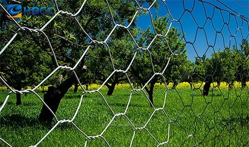 Terasest traatvõrgu hulgimüük|Keevitatud, kuusnurkne, gabion- ja taluvõrk Eur...