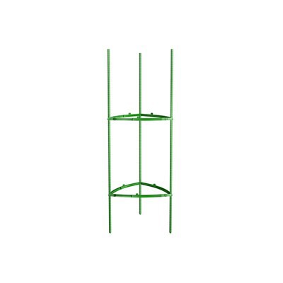 Aia ronimistaimede pulgad