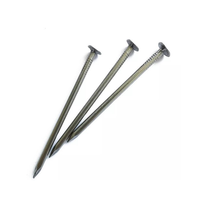 Common Construction Nail